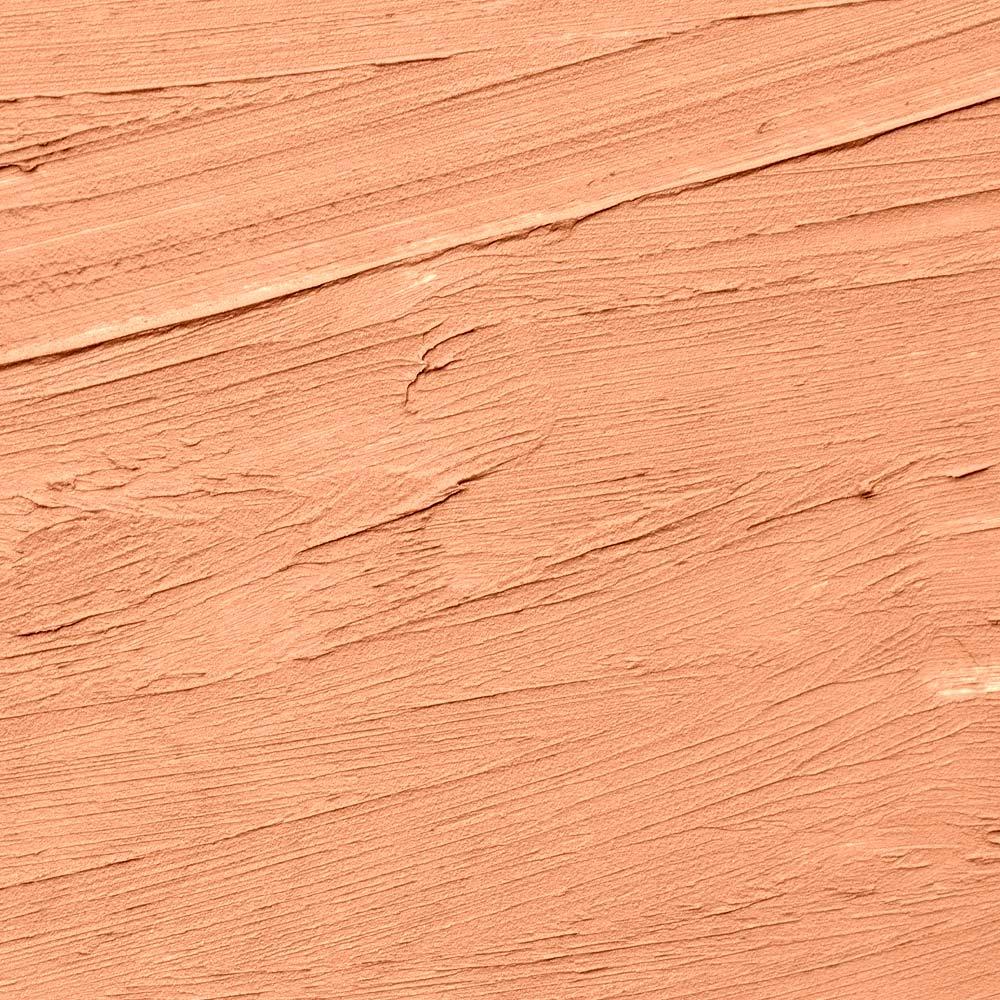 Protetor Solar Stick com Cor Sunless FPS50 - 2