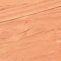 Protetor Solar Stick com Cor Sunless FPS50 - 2