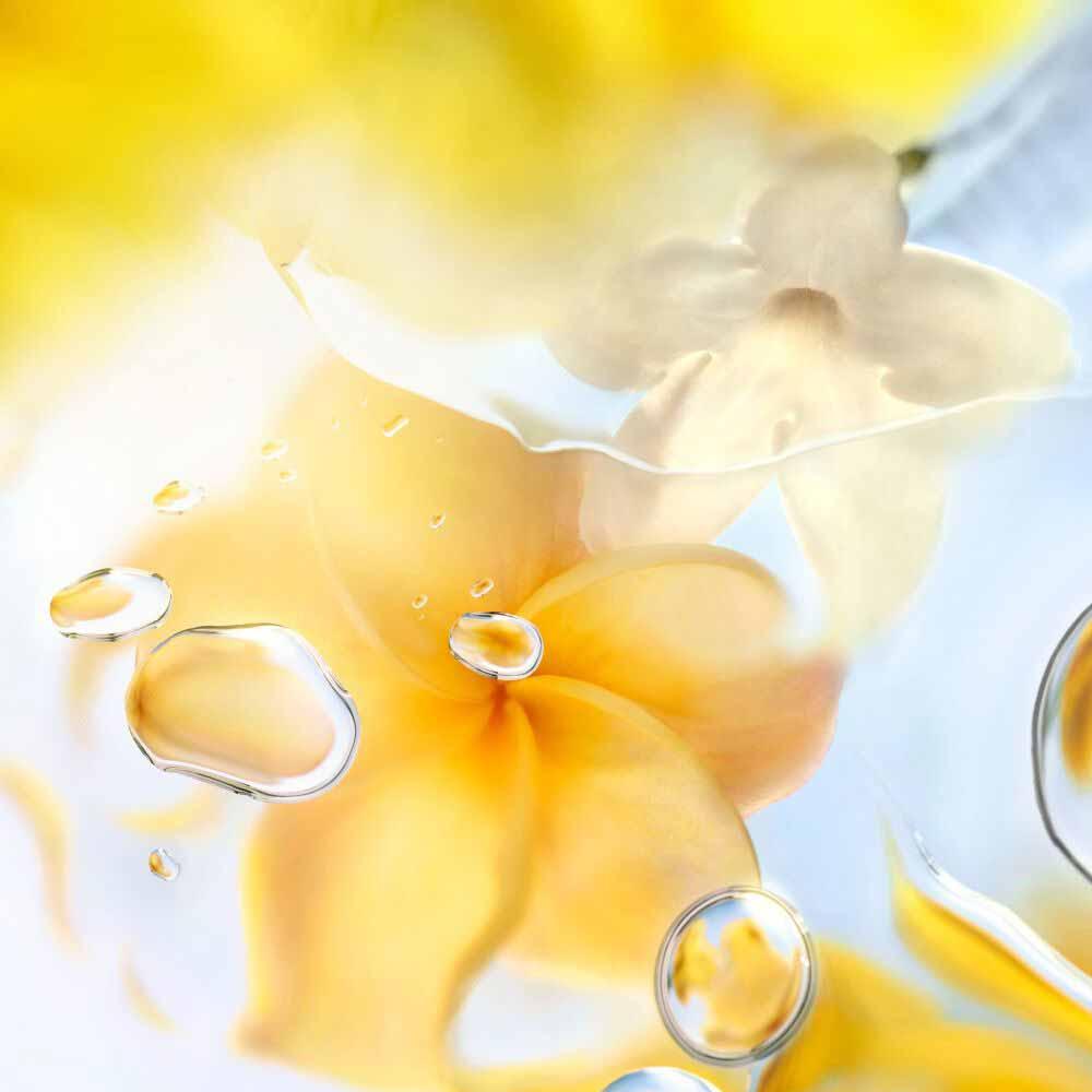 Perfume Ô Zenith Lancôme Feminino Eau de Toilette - 4