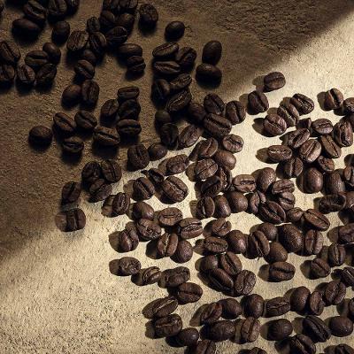 Perfume Devotion For Men Dolce&Gabbana Parfum