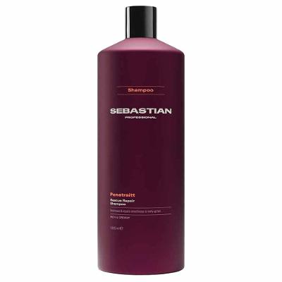 Shampoo Sebastian Penetraitt