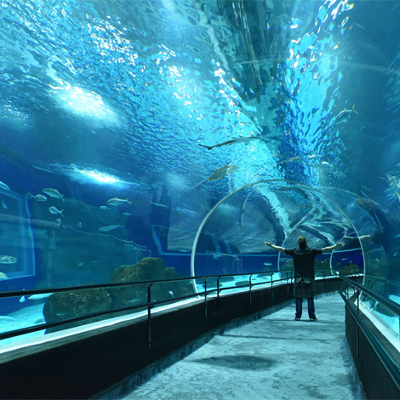 Passeio | Museu do Amanhã, AquaRio e Boulevard Olímpico