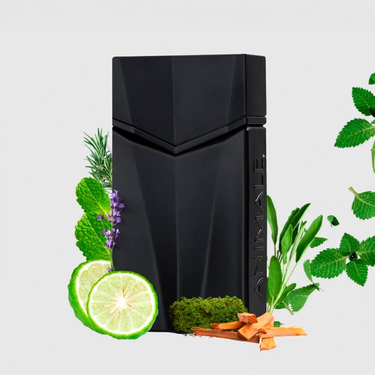 Animale Seduction Homme Eau de Toilette - Perfume Masculino 30ml - 3