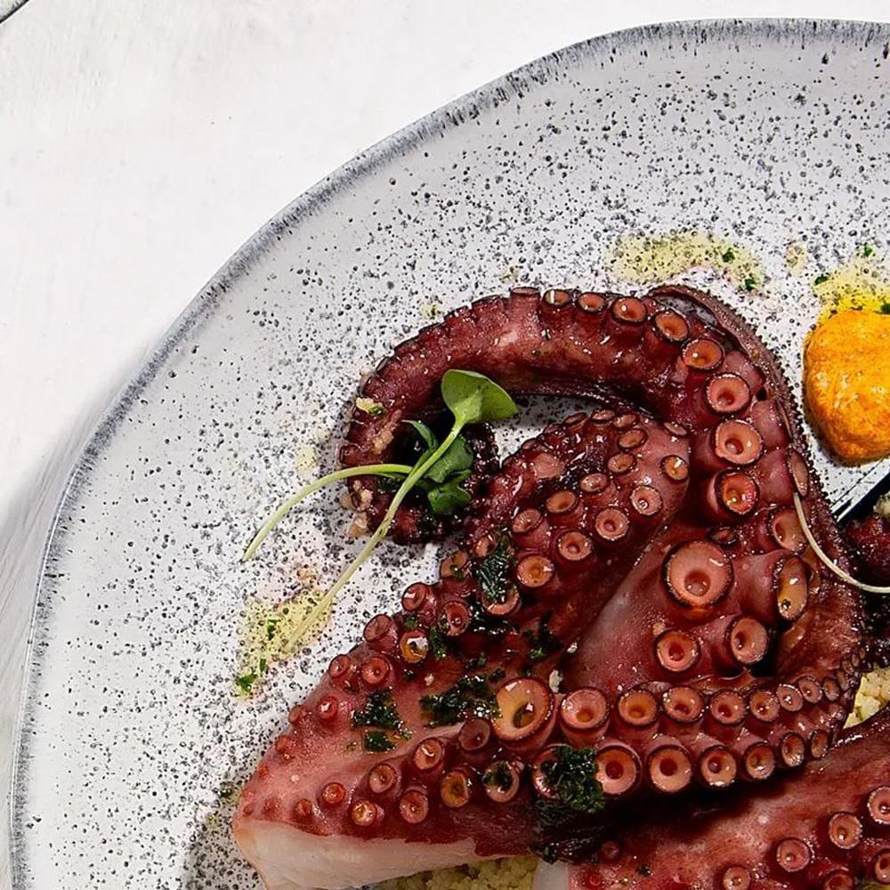 Conjunto de Pratos Rasos Porto Brasil Orgânico Echo 26,5cm - 6 Peças - 3