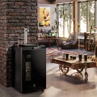 Cervejeira Home Bar Electrolux EB10C Frost Free 100L com Torre de Chopp Porta de Vidro Preta - 6