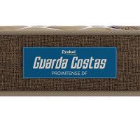 Colchão Queen Size Probel Guarda Costas Próintense DF Espuma D33 22x158x198cm - Bege/Marrom