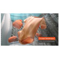 Lavadora de Roupas Brastemp 13Kg Platinum com Ciclo Tira Manchas Advanced e Ciclo Antibolinha - BWK13A9 - 7