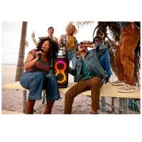 Microfone sem Fio JBL Bateria com Duração de Até 20 horas, Conexão Simples, Receptor UHF de Canal Duplo - 8