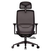 Cadeira Ergonômica Elements Serena Preta - 1