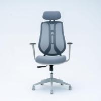 Cadeira Ergonômica Elements Galatea Cinza