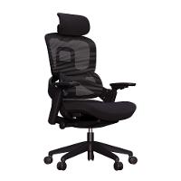 Cadeira Ergonômica Elements Calira Preta - 7