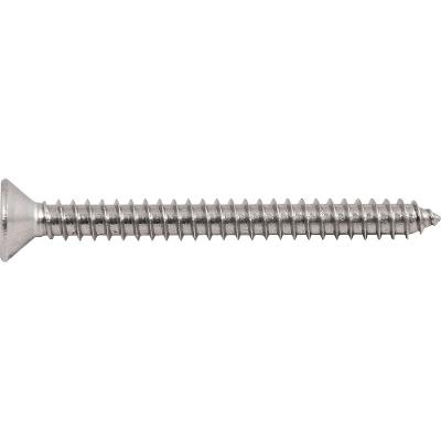 Parafuso Autoatarraxante Inox 4,8x50,0mm Phillips Vonder