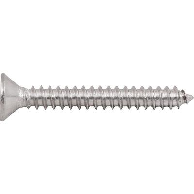 Parafuso Autoatarraxante Inox 4,8x38,0mm Phillips Vonder