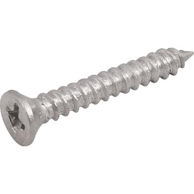 Parafuso tarraxante Inox 2,9x19,0mm Phillips 10 pçs Vonder