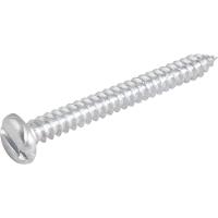 Parafuso Autoatarraxante 4,2x38,0mm c/ 10 peças Vonder - 2