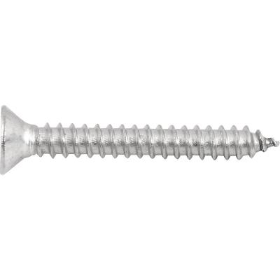 Parafuso Autoatarraxante Inox 4,2x32,0mm Phillips Vonder