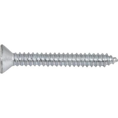 Parafuso Autoatarraxante 6,3x50,0mm Phillips 10 peças Vonder