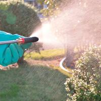 Pulverizador de Jardim LXT 5L Bico Duplo H Spray Jato Fino Sem Bateria Sem Carregador DUS054Z Makita - 9