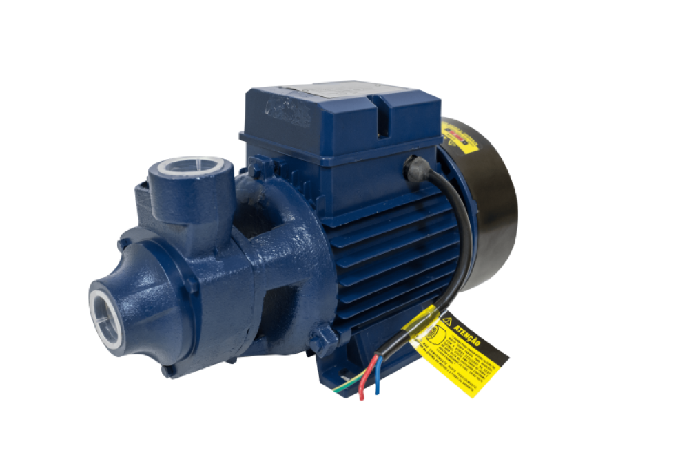 Motobomba Standard Periférica 1/2cv 60Hz Bivolt ICS-50AB Eletroplas - 2