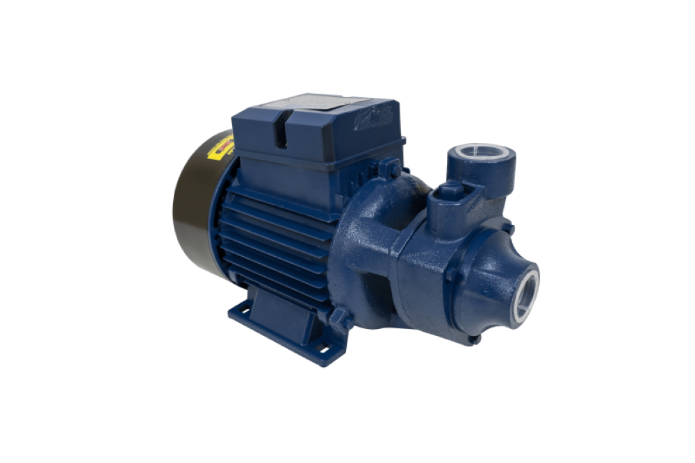 Motobomba Standard Periférica 1/2cv 60Hz Bivolt ICS-50AB Eletroplas - 3