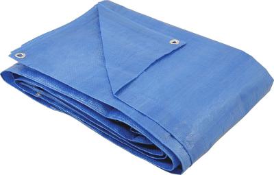 Lona polietileno 6x5m azul 100 micras leve - Nove54