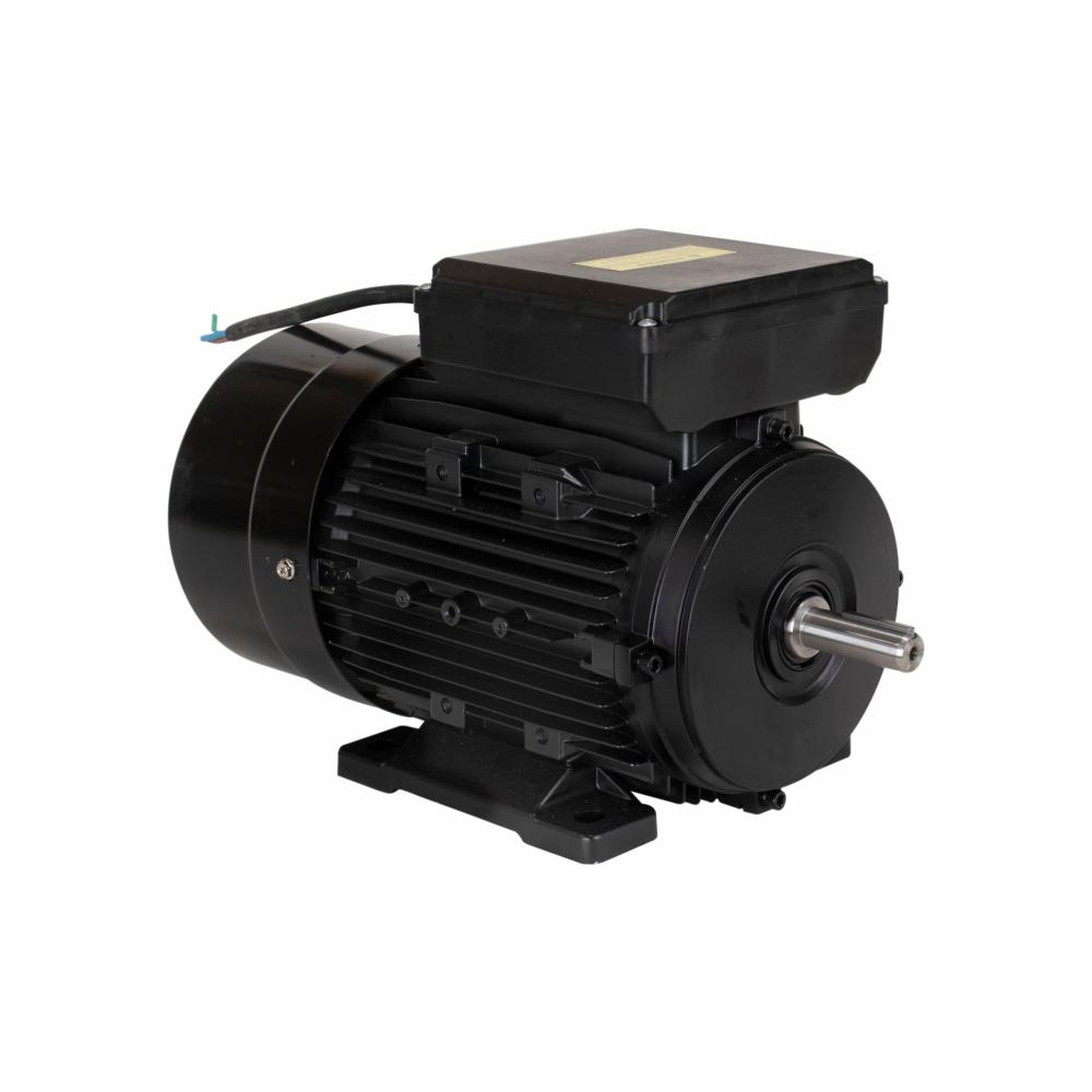 Motor Elétrico de 3CV 127/220V  60Hz 3472 RPM Bivolt Com 2 Pólos e Proteção IP44 YL90L-2 Lynus - 2