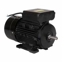 Motor Elétrico 3CV  1748RPM Monofásico Bivolt 127/220V 60Hz Com 4 Pólos IP55 YL100L1-4 Lynus - 5