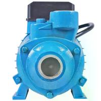 Bomba Periférica 1Hp 127/220V 1X1'' Kala