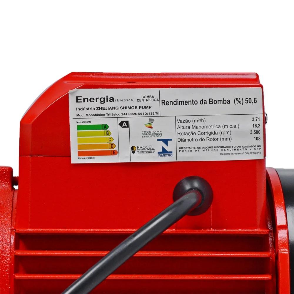 Bomba Centrifuga 1,0 Hp 127/220V 1X1'' Worker - 4