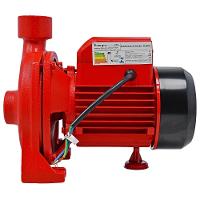 Bomba Centrifuga 1,0 Hp 127/220V 1X1'' Worker - 3