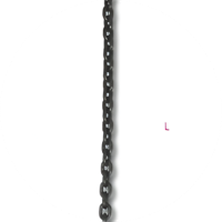 Linga p/ Elevação Ganchos Grau 8 8096 D8-4 Beta - 3