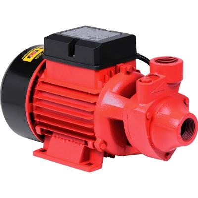 Bomba Periférica 1Hp 127/220V 1X1'' Worker