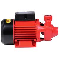 Bomba Periférica 1Hp 127/220V 1X1'' Worker - 3