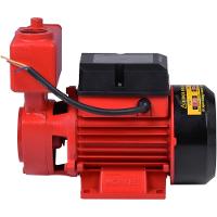 Bomba Periférica Auto Aspirante 1Hp 127/220V Worker