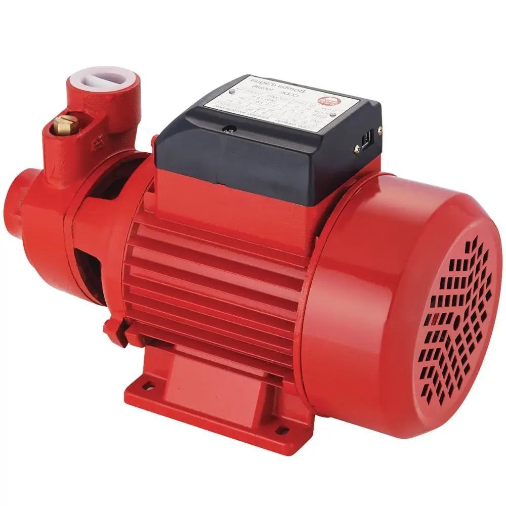 Bomba Periférica 1/2Hp 127V/220V 1X1'' Worker - 2