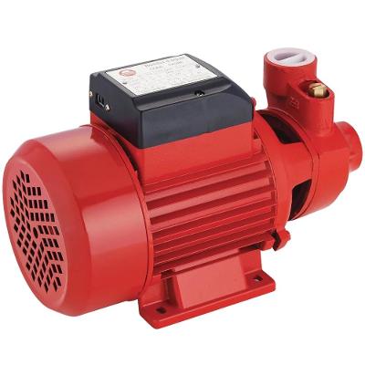 Bomba Periférica 1/2Hp 127V/220V 1X1'' Worker
