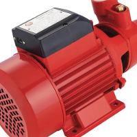 Bomba Periférica 1/2Hp 127V/220V 1X1'' Worker - 3