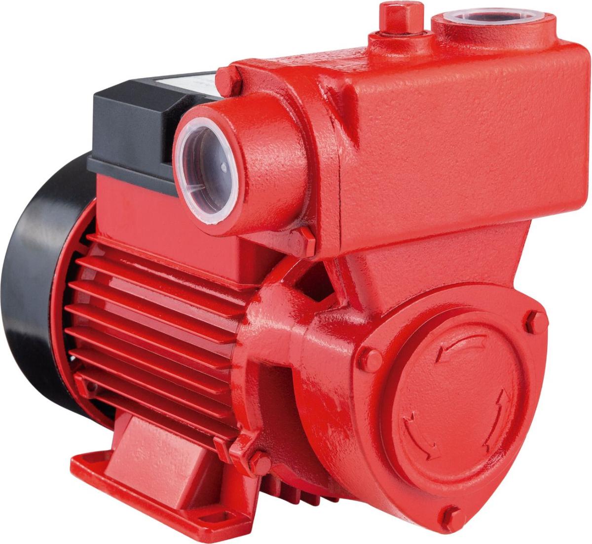 Bomba Periférica Auto Aspirante 1/2Hp 127/220V Worker - 6