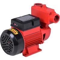 Bomba Periférica Auto Aspirante 1/2Hp 127/220V Worker - 2