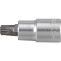 Soquete Multidentado Encaixe 1/2'' M10 15mm Curto CRV Vonder