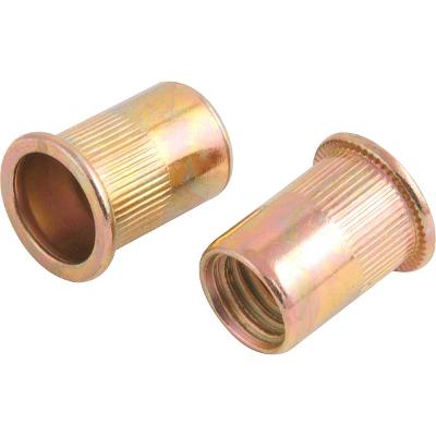Rebite aço carbono M12 rebite manual rosca  10 peças Vonder