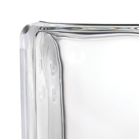 Tijolo de Vidro 19 x 19 x 8 cm Liso Translúcido 2 Lados com 06 unidades Tradestar