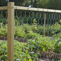 Tela Pinteiro Hexagonal  1,0 x 50 M BWG24 Tradestar - 7