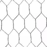 Tela Viveiro Hexagonal 0,6 x 50 M BWG26 Tradestar - 6