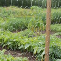 Tela Viveiro Hexagonal 0,6 x 50 M BWG26 Tradestar - 7