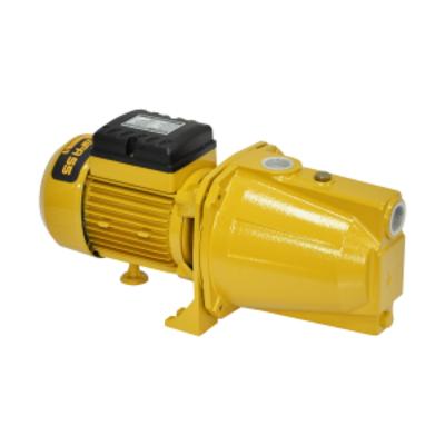Bomba Elétrica Auto Aspirante BFA 55-FE Bivolt Buffalo 80379