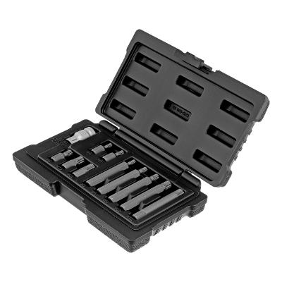 Jogo de Bits Spline Stels 11 Peças 1/2'' Cromo Vanádio 75mm Caixa Plástico Profissional