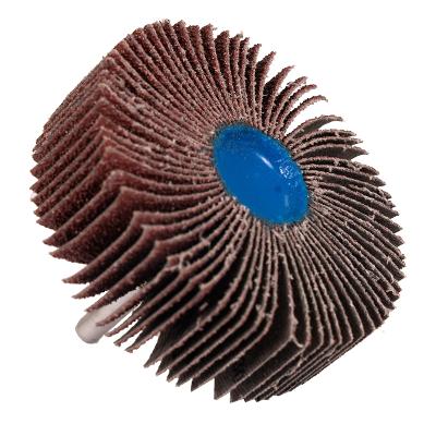 Roda De Lixa De Óxido Alumínio 75X25mm G60 Bosch