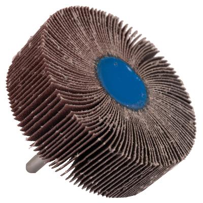Roda De Lixa De Óxido Alumínio 75X25mm G320 Bosch