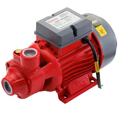Bomba Periférica Branco BB1000P 1CV 220V Monofásica Elétrica Água Limpa 53MCA 50LMi Rotor Latão IP44